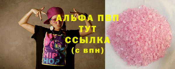 хмурый Абаза