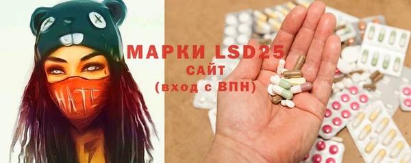 mdpv Новозыбков