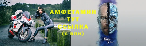 хмурый Абаза