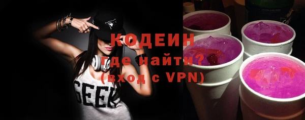 хмурый Абаза