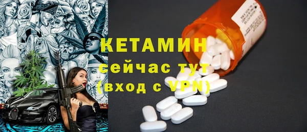 СК Новодвинск
