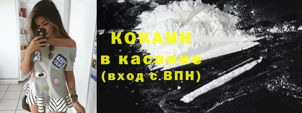 стаф Новокубанск