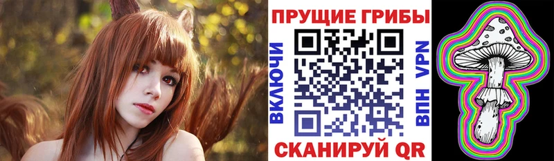 MEGA как зайти Белая Калитва Галлюциногенные грибы Psilocybe