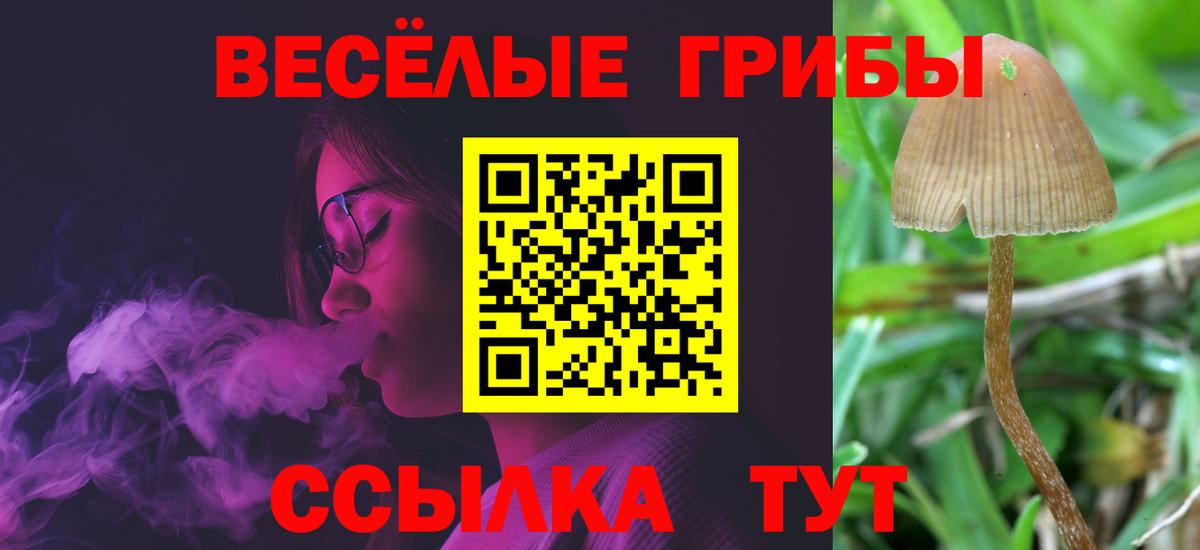 Галлюциногенные грибы мухоморы Белая Калитва